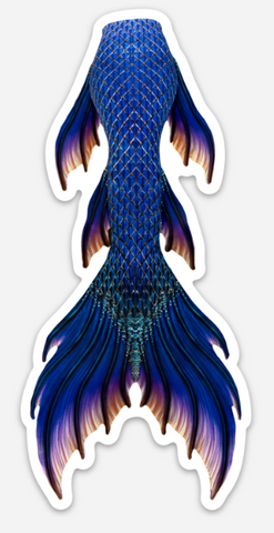 Aurora Borealis Signature Tail Sticker