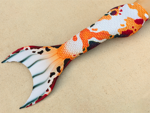 Humphead Wrasse Discovery Fabric Tail
