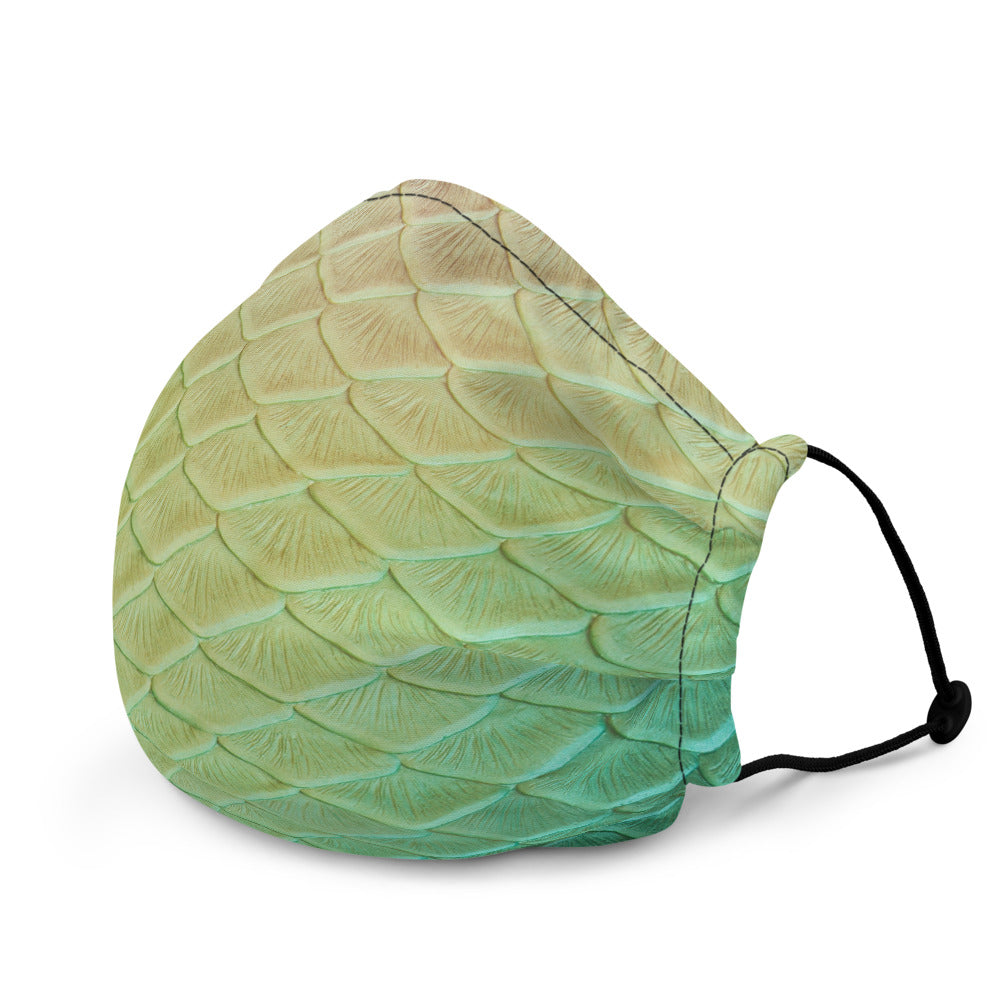 Loch Ness Face Mask