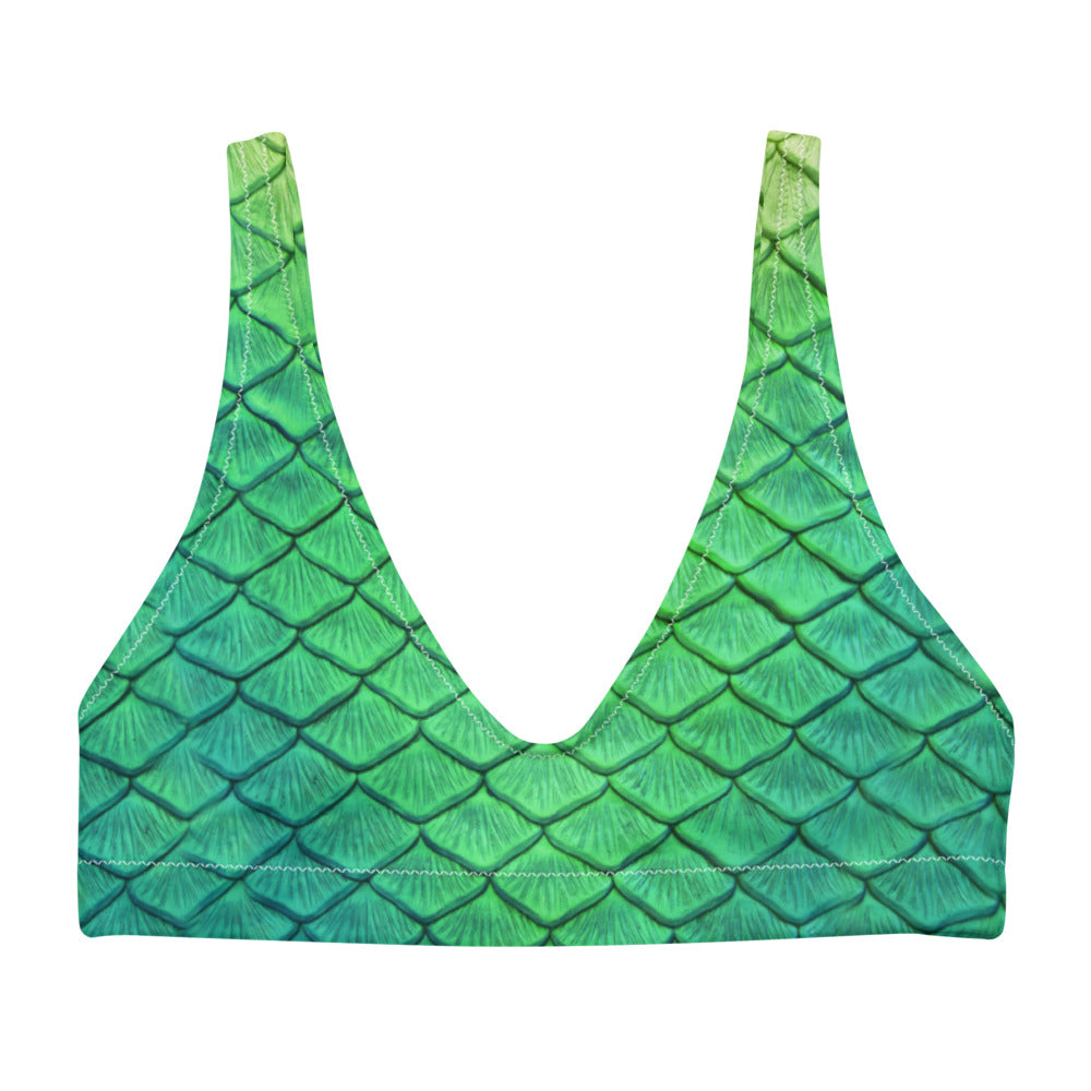 Shoal Green Recycled Padded Bikini Top