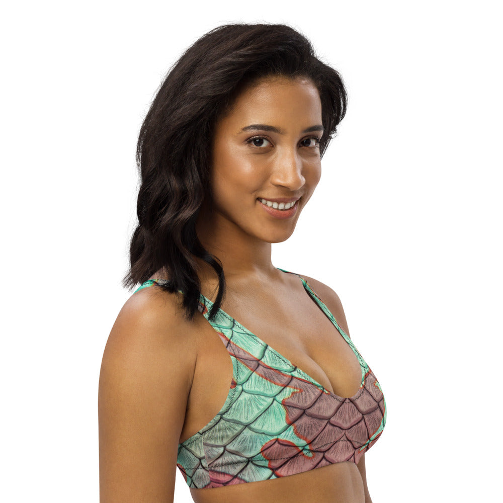 The Nautilus Recycled Padded Bikini Top