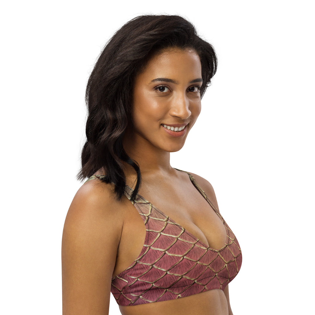 Sanderson's Spell Recycled Padded Bikini Top – Finfolk Productions