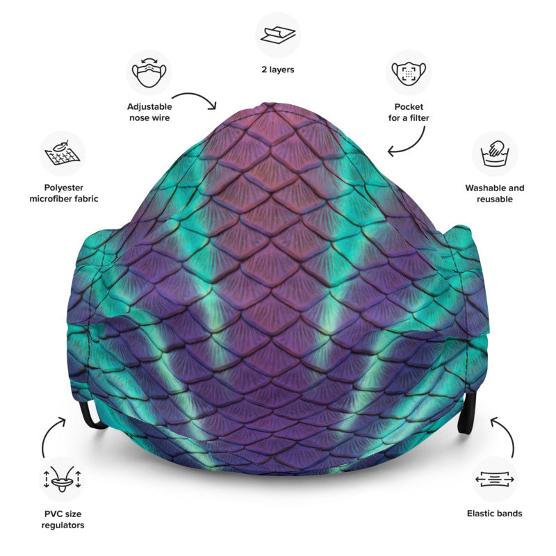 Aurora Borealis Face Mask