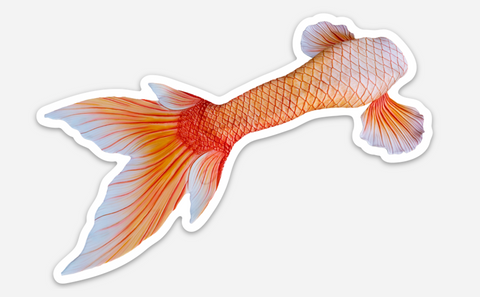 Way of Water Signature Tail Sticker