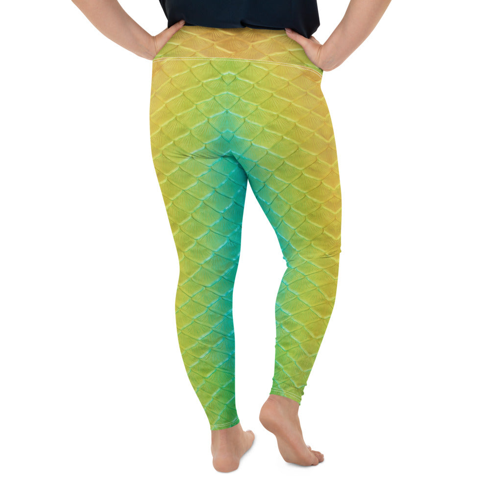 Jellyfish Jungle Plus Size Leggings