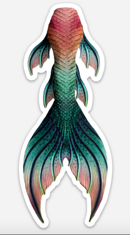 Eelia Merbella by Finfolk Signature Tail Sticker