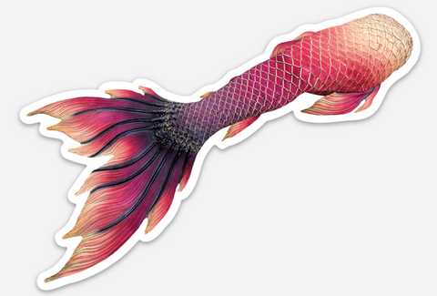 Jellyfish Jungle Signature Tail Sticker